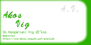 akos vig business card